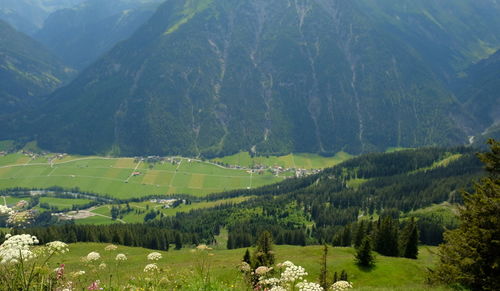 Scenic view of green landscape and mountains