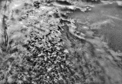 Full frame shot of trees