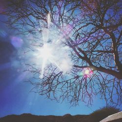 Low angle view of bare trees against sky