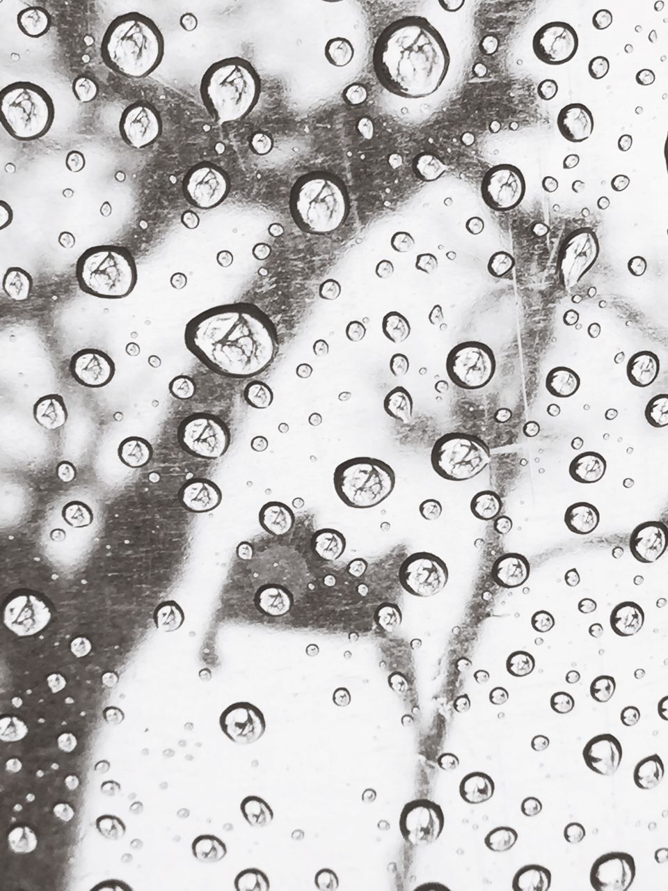 drop, wet, window, rain, water, full frame, backgrounds, transparent, indoors, raindrop, glass - material, weather, season, glass, close-up, monsoon, focus on foreground, droplet, water drop, sky