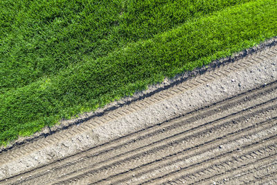 Full frame shot of footpath