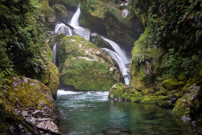 Scenic view of waterfall in forest