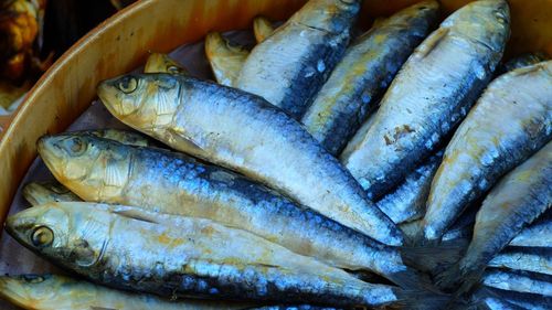 High angle view of fish for sale in market