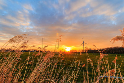Scenic view of field against sky during sunset