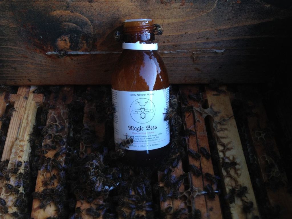 Magic Bees Honey