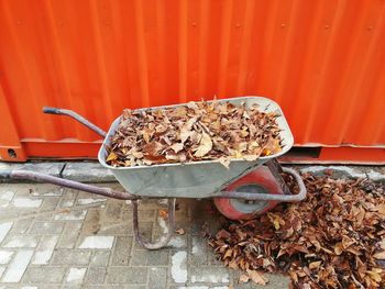 High angle view of fallen dry leaves in wheelbarrow by orange cargo container