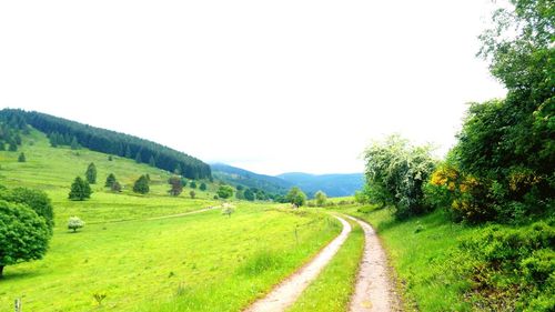 Road passing through field