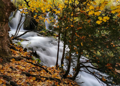 Long exposure photo of amazing waterfalls and cascades in autumn