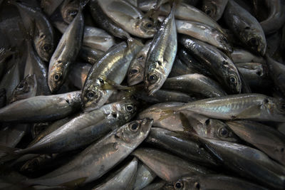 Fish in loule market.