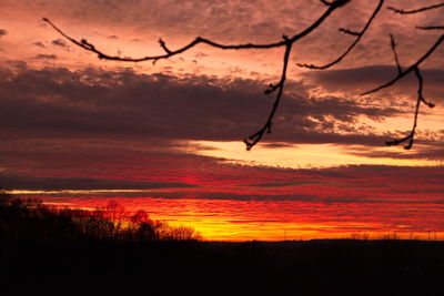 Silhouette bird against sky during sunset