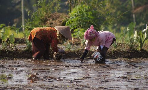 Farmers working in muddy field at farm