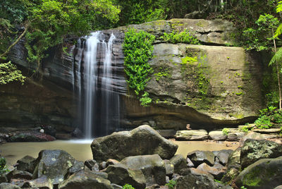 Scenic view of waterfall in forest