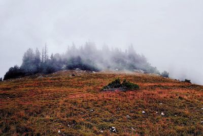 Scenic view of landscape against sky