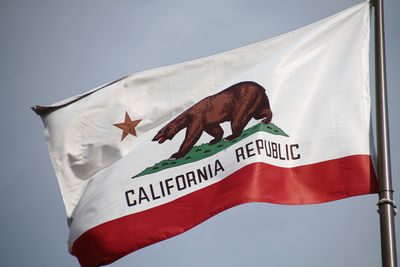 Low angle view of flag against sky