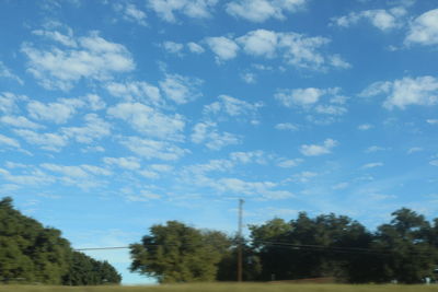 Low angle view of trees against sky