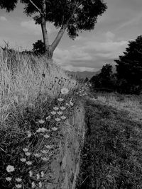 Scenic view of land against sky