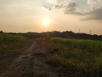 Scenic view of field against sky during sunset