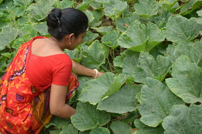 Young woman working amidst plants