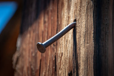 Close-up of nail mounted in wooden door