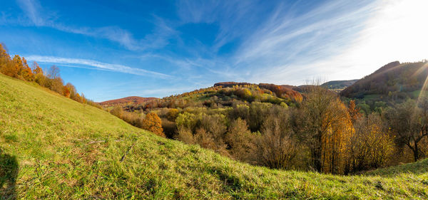 Autumn landscape with hills and trees with yellow leaves in transylvania romania