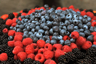 Close up of red berries - blueberries - berries - raspberries - blackberries