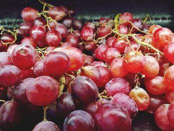 Closeup of grapes