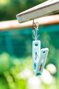 Close-up of plant against blurred background