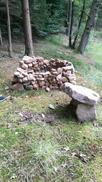 Stack of logs in field