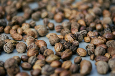 Close-up of beans on table