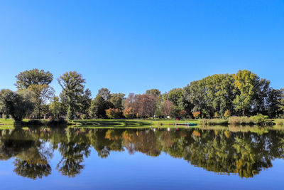 Reflection of trees in lake against clear blue sky