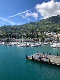 Sailboats in marina