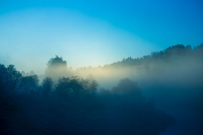 Scenic view of trees against sky