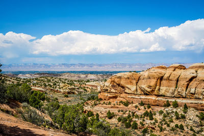 Scenic view of landscape against sky