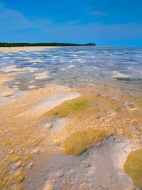 Scenic view of sea