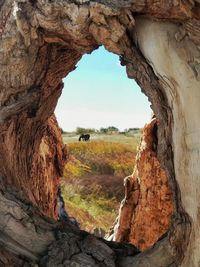 Scenic view of landscape seen through hole in tree trunk against sky