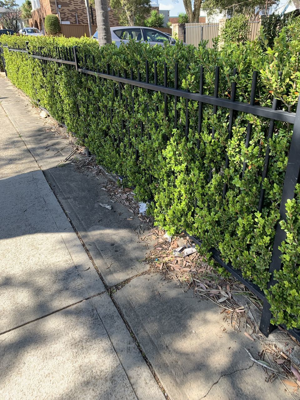 VIEW OF FOOTPATH BY FENCE IN CITY