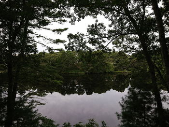 Reflection of trees in lake against sky