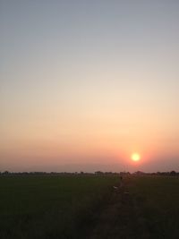 Scenic view of sunset