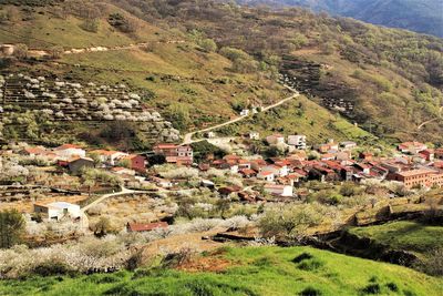 Springtime at valle del jerte in extremadura spain. stock photo 