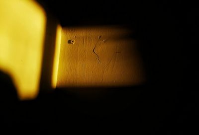 Close-up of yellow flower against black background