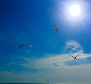 flying