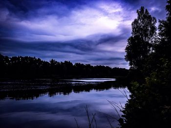 Reflection of trees in calm lake