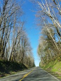 Road amidst trees against clear sky