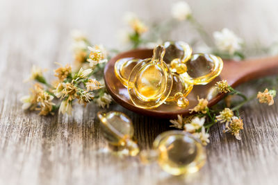 Close-up of flowering plant on table