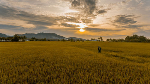 Scenic view of field against sky during sunset