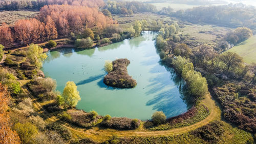 High angle view of lake amidst trees in forest