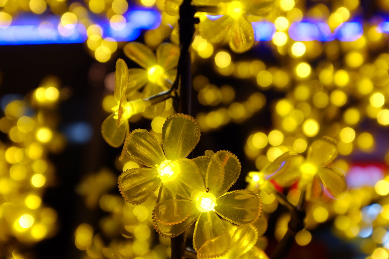 illuminated, lighting equipment, night, focus on foreground, glowing, defocused, decoration, close-up, light - natural phenomenon, selective focus, light, multi colored, lens flare, indoors, yellow, electric light, no people, electricity, hanging