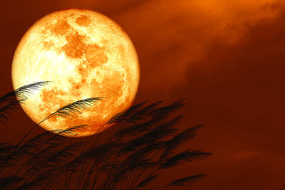 Close-up of orange slice against sky at sunset
