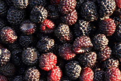 Full frame shot of strawberries