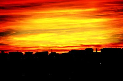 Silhouette trees against orange sky